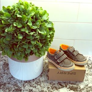 New size 6.5 Sperry’s